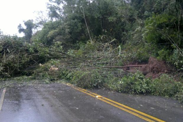 Treze rodovias estão interditadas em Santa Catarina por causa das chuvas