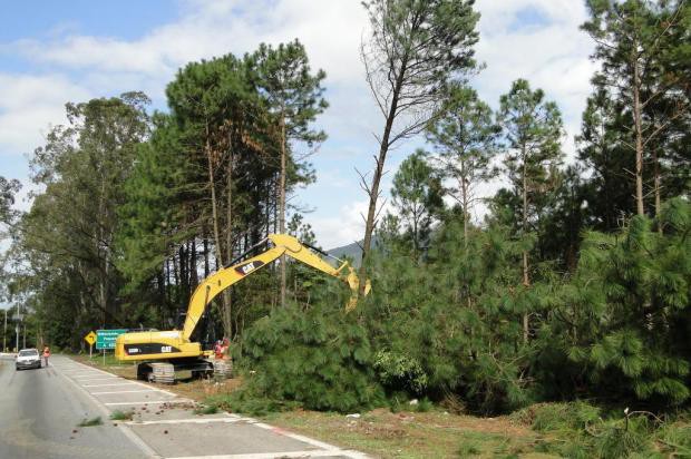 Obras bloqueiam BR-101 a partir das 12h no Morro dos Cavalos, em Palhoça