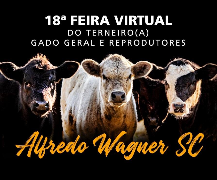 Alfredo Wagner promove 18ª Feira do Terneiro, Gado Geral e Reprodutores