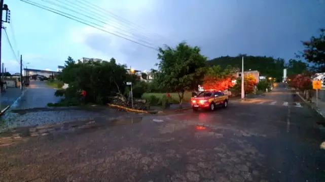 Árvore cai sobre três pessoas durante vendaval em Ituporanga