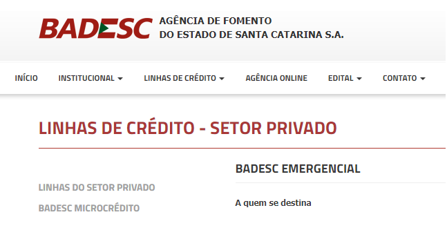 Badesc Emergencial atende micro e pequenas empresas afetadas pelos impactos do coronavírus em Santa Catarina