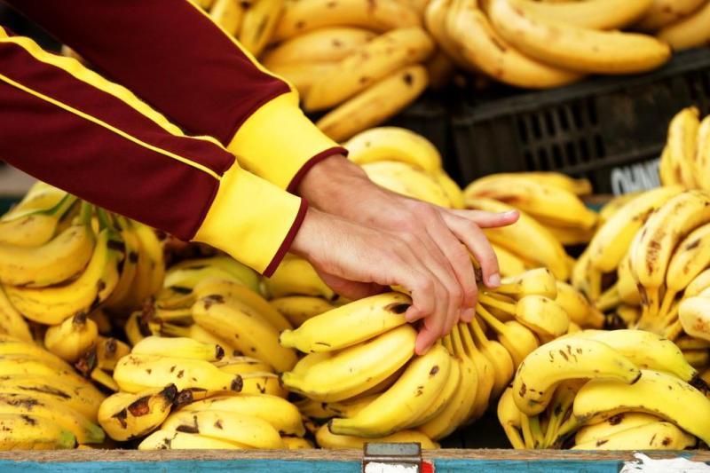 Banana, cebola e maçã estão entre os itens de SC que são destaques na produção nacional