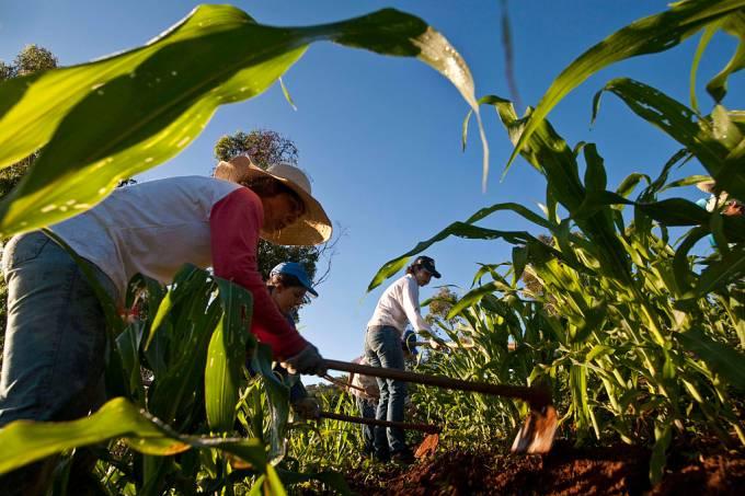 Bolsonaro veta auxílio emergencial a agricultor familiar que não tiver recebido o benefício