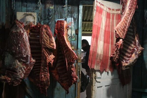 Carne de cavalo virava hambúrguer no Rio Grande do Sul
