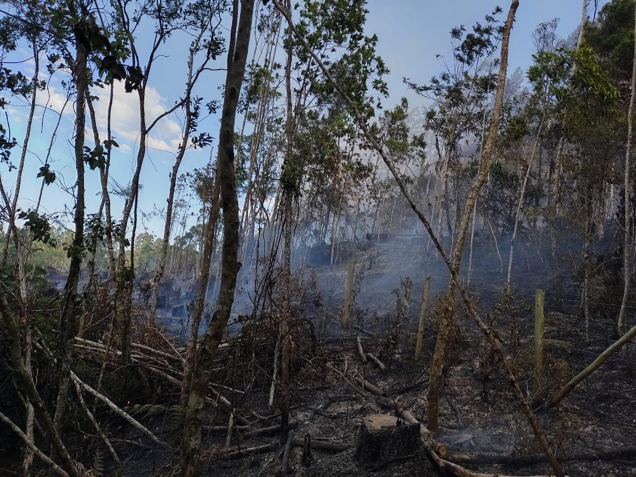 Corpo de Bombeiros emite alerta para prevenir incêndios florestais