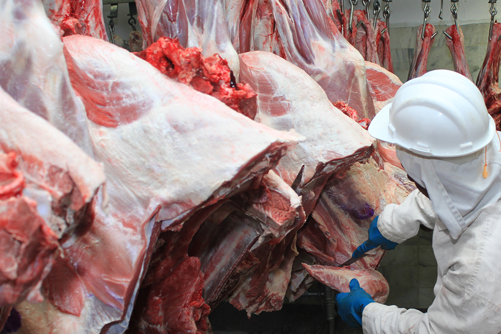 Cresce demanda por alternativas à carne bovina nos supermercados de SC