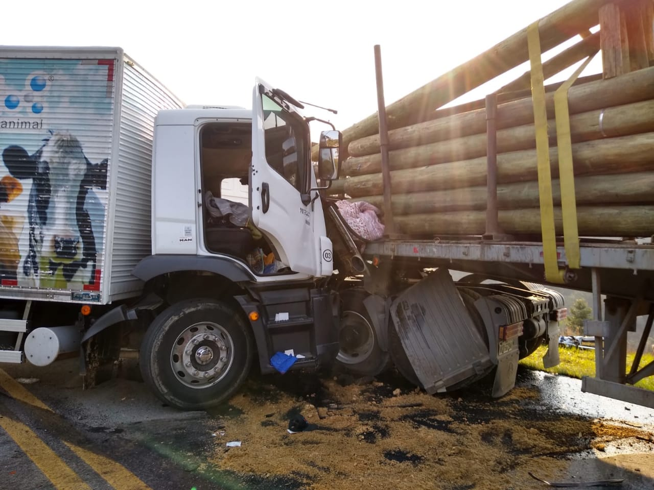 Dois caminhões de empresa madeireira de Aurora se envolvem em acidente na BR-282 em Bom Retiro