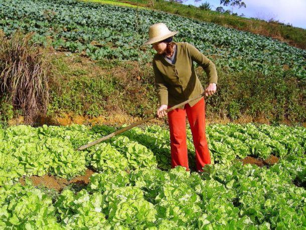 Encontro de Saúde da Mulher Agricultora será realizado em Ituporanga 