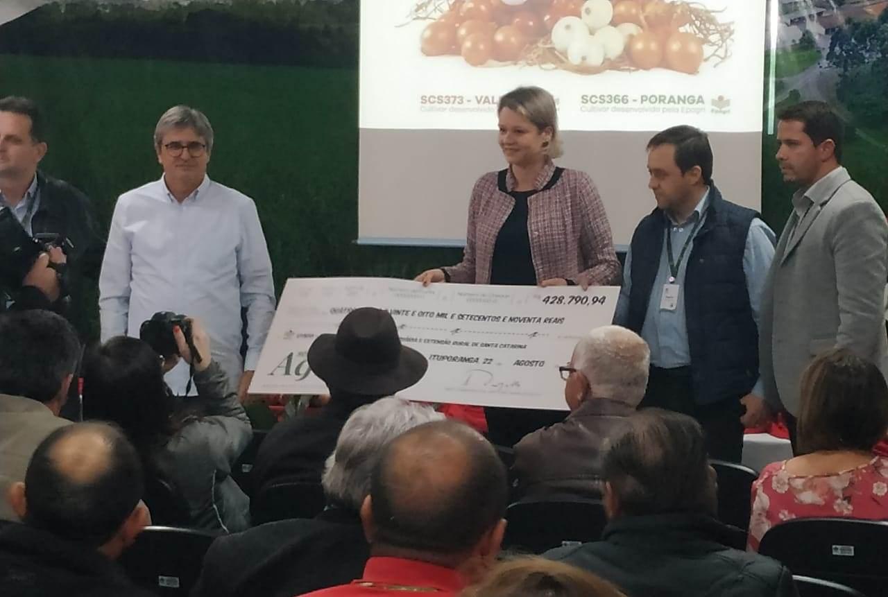 Epagri recebe mais de R$ 420 mil em royalties por cultivares de cebola desenvolvidas em Ituporanga