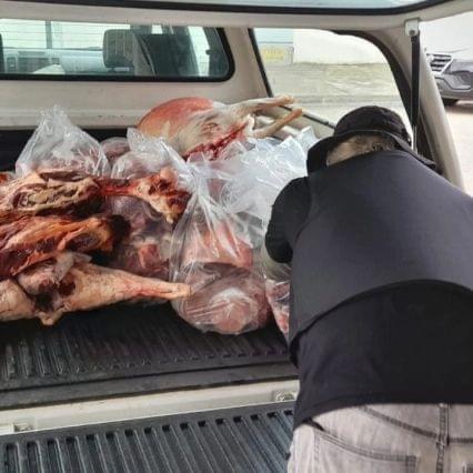 Força Tarefa apreende 800kg de carne e derivados, deteriorados em SC