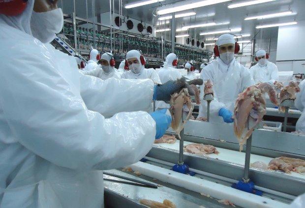 Governo catarinense reduz para 7% a alíquota de ICMS para carnes de aves e suínos 
