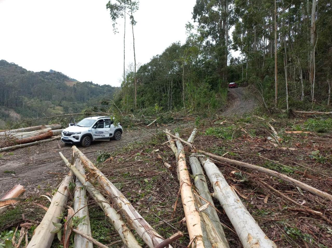 Homem é notificado em Ituporanga ao impedir a passagem de veículos enquanto fazia extração de madeira 