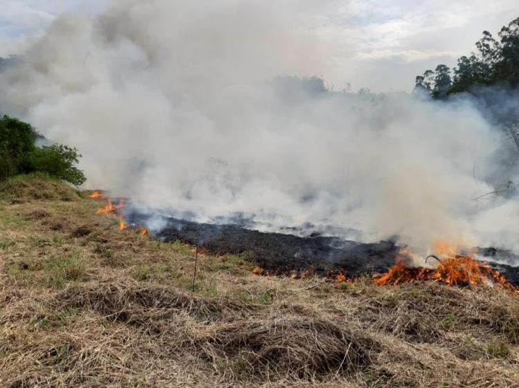 Incêndio atinge cerca de dois hectares de vegetação em Presidente Getúlio, no Alto Vale 