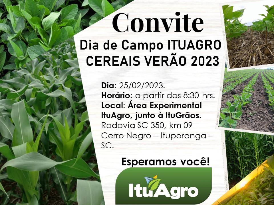 ItuAgro promove dia de campo cereais verão 2023 com foco na cultura da soja