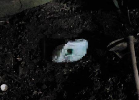 Mãe é suspeita de enterrar bebê recém-nascido no quintal de casa, em Braço do Norte