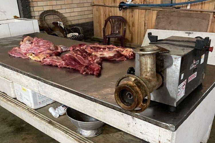 Mais de 500 quilos de carne de cavalo apreendidos no Sul de SC estavam em CTG 