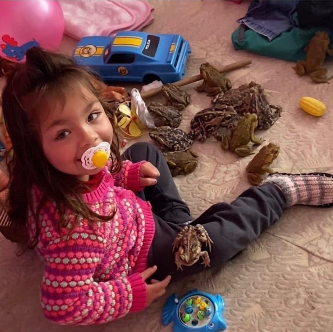 Menina de 2 anos brinca com sapos na cama em Ituporanga, deixa mãe apavorada e vídeo viraliza