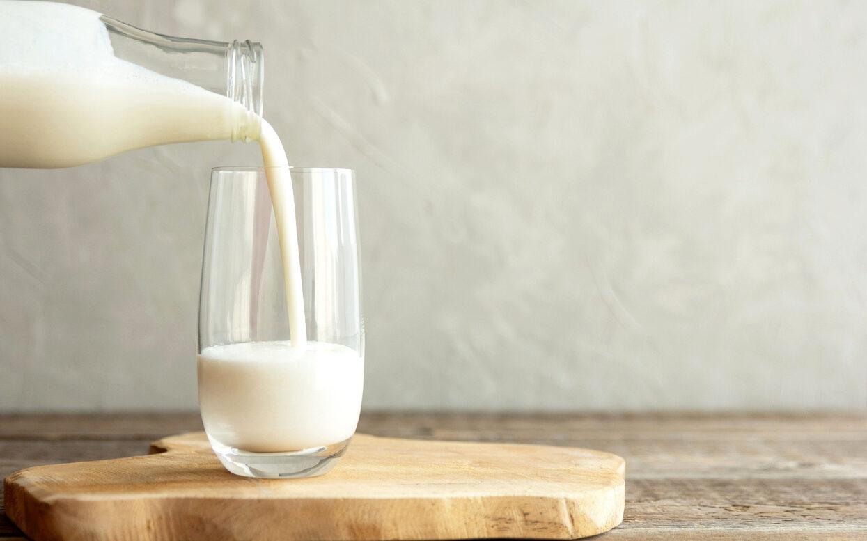 Mesmo com redução de imposto, leite continua caro em SC; entenda por que