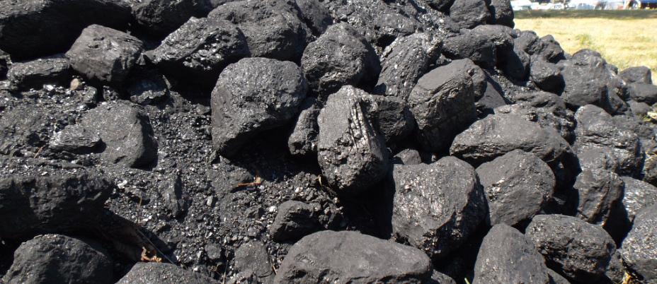 Biocarvão pode ser fonte de economia para agricultores da região 