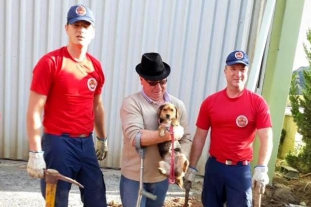 Bombeiros resgatam cachorro preso em tubulação em Ituporanga