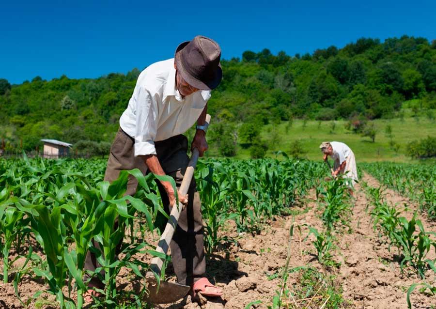 Demora para emissão da declaração do Incra pode atrasar processos de aposentadorias de trabalhadores rurais 