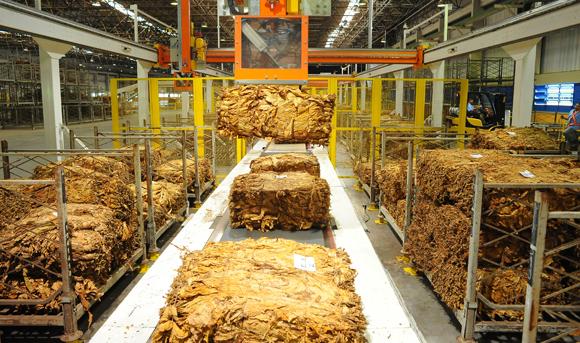 Entidades fumageiras discutem essa semana em SC custos de produção do tabaco