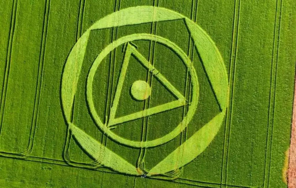 O que é agroglifo, desenho misterioso que surgiu em plantação de SC