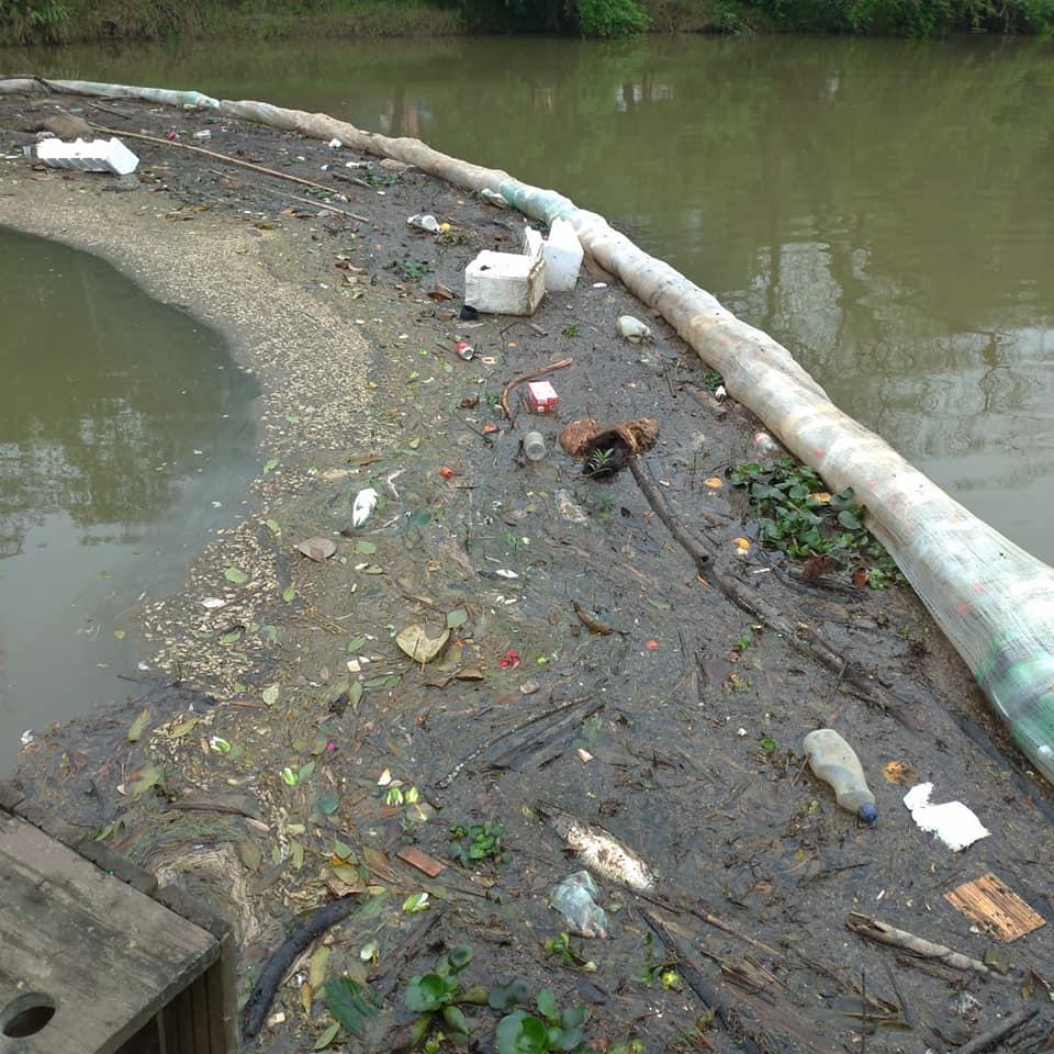 Quantidade de lixo acumulado em barreira ecológica no Rio Itajaí do Sul no Centro de Ituporanga surpreende 