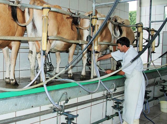 Relação entre oferta e demanda provoca alta no preço pago ao produtor de leite em SC 