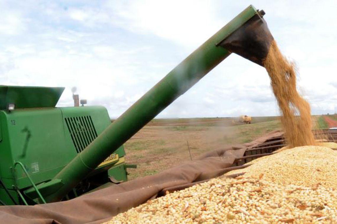 Safra de grãos deve fechar 2019 com alta de 4,2%, estima IBGE