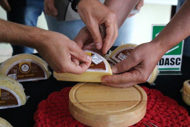 Santa Catarina entrega Selo Arte para queijo colonial produzido em Rio do Sul 
