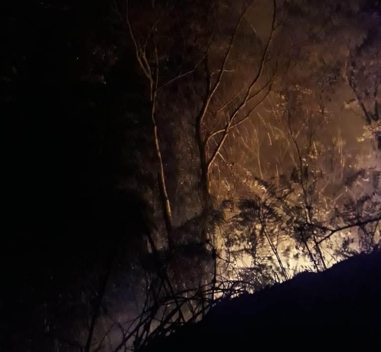 Seca: Bombeiros levam mais de sete horas para combater incêndio em vegetação, em Vidal Ramos