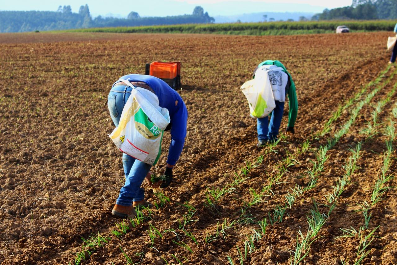 Secretaria de Saúde de Ituporanga inicia cadastramento de trabalhadores rurais 