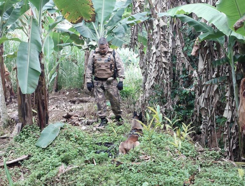 Sequestro de duas crianças mobiliza polícia em Jaraguá do Sul 