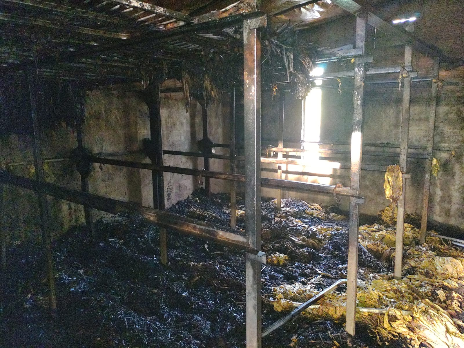 Terceiro incêndio a estufa de fumo é registrado nesta safra na Região da Cebola