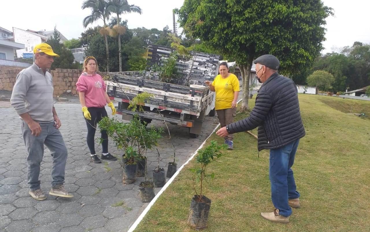 Trabalhos de limpeza e arborização são realizados em Ituporanga