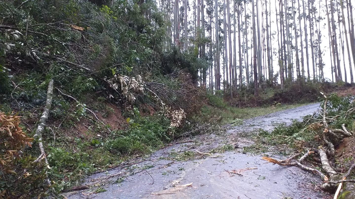 Vidal Ramos registra destelhamento de casas e quedas de árvores com passagem de ciclone