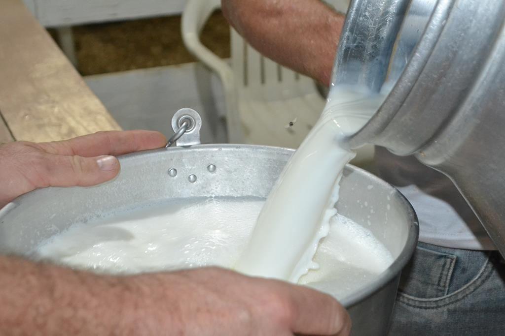 Volume de leite captado pelas empresas na região deve cair de 15% a 20% até final do ano