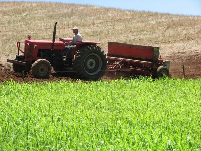 Hoje é comemorado o dia do Agricultor