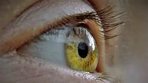 10 de julho é Dia da Saúde Ocular: Oftalmologista alerta sobre os cuidados com a visão