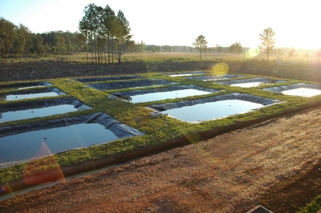 Agricultores do Alto Vale tem sucesso de renda com a Piscicultura