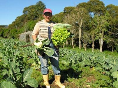 Agricultura sustentável é tema de Curso na região da cebola