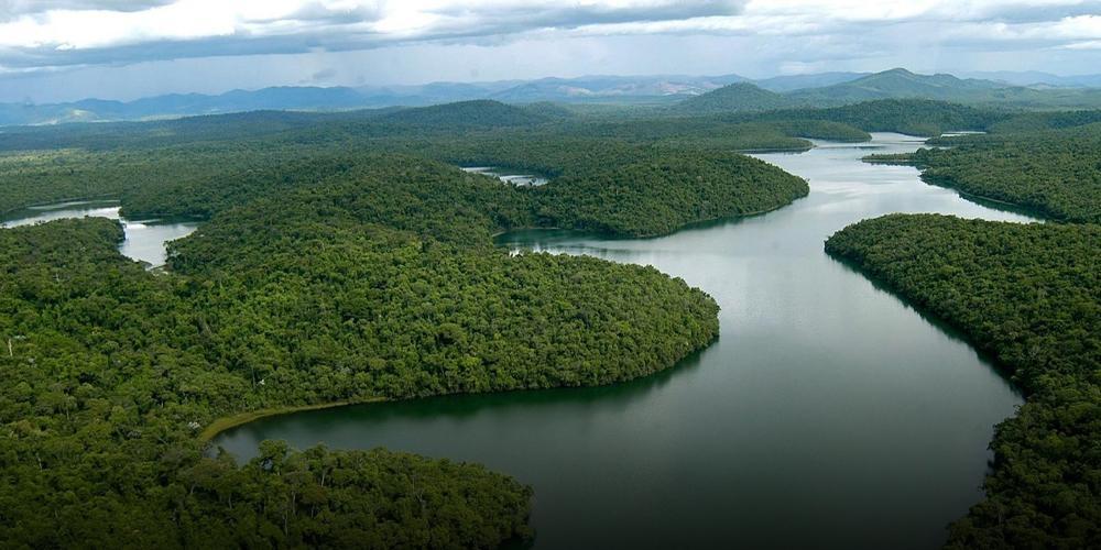 333,867 hectares da Mata Atlântica já foram destruídos só em 2021