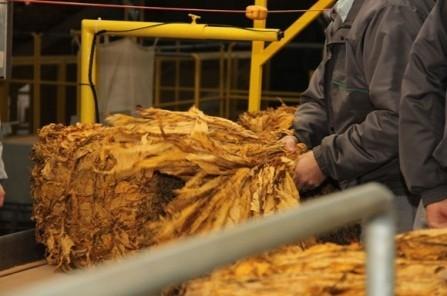 2015 começa com incertezas sobre reajuste no preço do tabaco