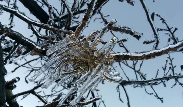 Urupema, na Serra de SC, registra temperatura de – 6ºC nesta terça-feira