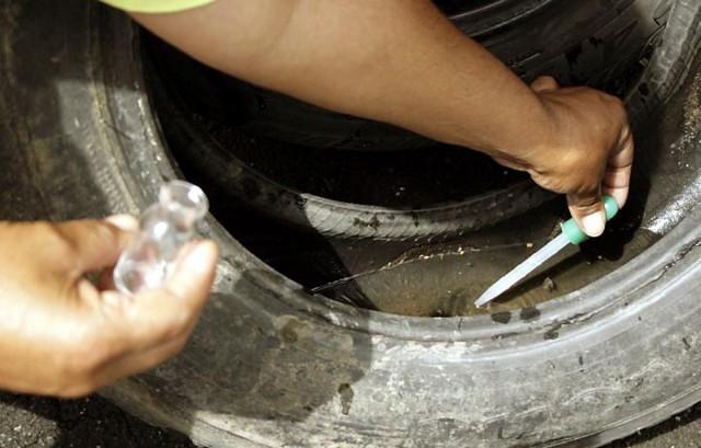 Alto Vale fica em alerta para o controle da dengue