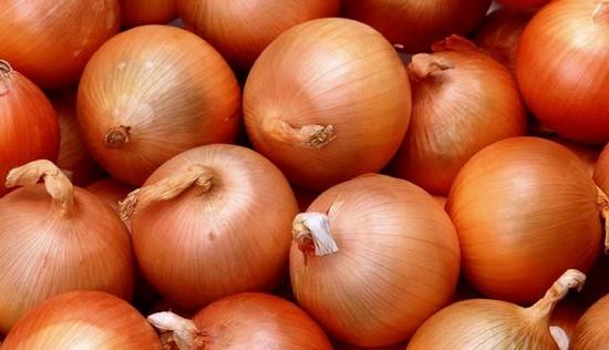 Com alta no preço da cebola, agricultores ficam otimistas no final da safra