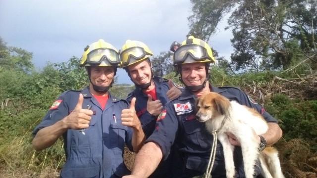Bombeiro detalha como foi realizado o resgate de cachorro que estava a mais de 20 dias em um penhasco no interior de Chapadão do Lageado