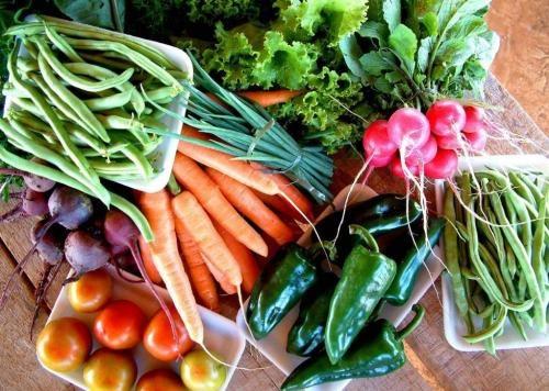 Seminário Estadual da Agricultura será realizado na Região do Alto Vale