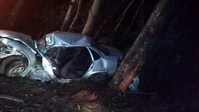 Após furtar veículo, motorista bate carro em árvore na BR-470, em Agronômica